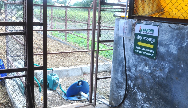 Underground tank to store cow urine